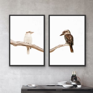 Kookaburra Pair - Two Piece Kookaburra Australian Wildlife Wall Art Canvas or Art Prints
