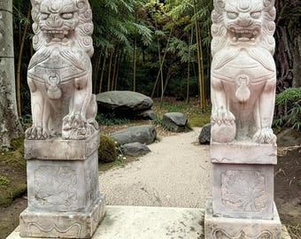 Skyddslejonpar 150 cm, Gamla kinesiska Fu-hundar i sten, Stora trädgårdsfigurer, Asiatiska stenlejon, Skyddslejon för uppfart och trädgård