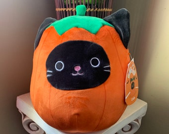 autumn black cat squishmallow