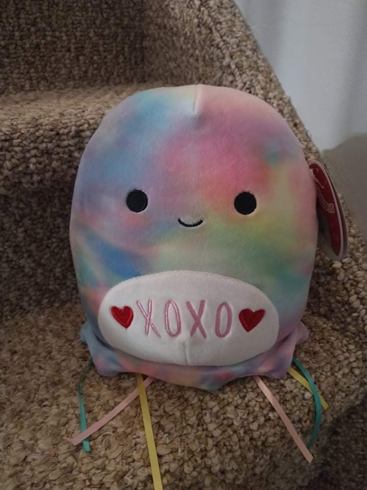 janet squishmallow tag