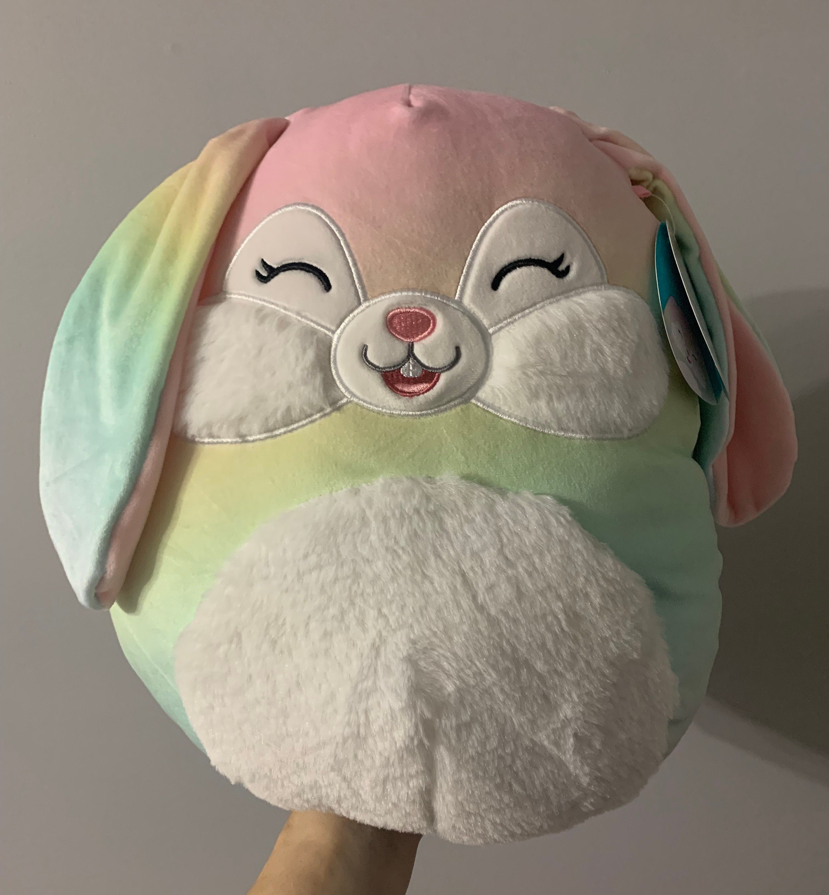 rashad squishmallow