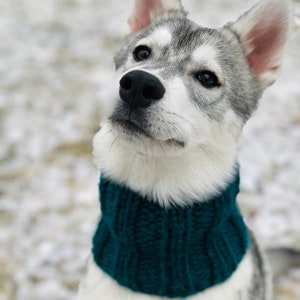 Turtle Neck Snood - Infinity Scarf for Pets - Made-to-Order