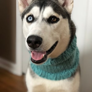 Sweater Snood - Infinity Scarf for Pets - Made-to-Order