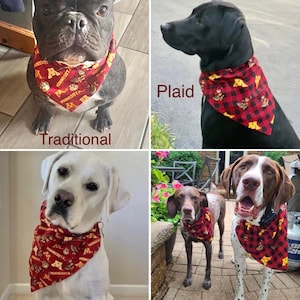 University of Minnesota Golden Gophers Traditional & Plaid Reversible Collar Bandanas