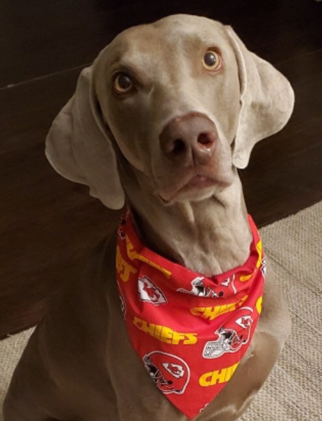 NFL Kansas City Chiefs Football Reversible Collar Bandanas Etsy