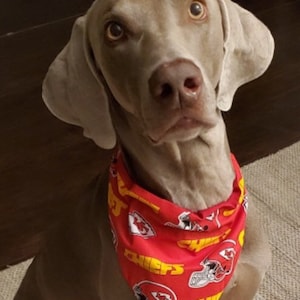 NFL Kansas City Chiefs Football Reversible Collar Bandanas