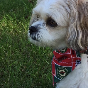 Minnesota Wild NHL Dog Sweater