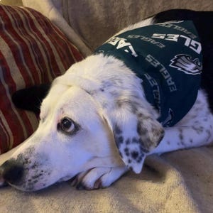 NFL Philadelphia Eagles Football Reversible Collar Bandanas
