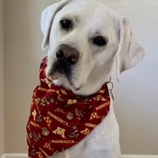 University of Minnesota Golden Gophers Reversible Collar Bandanas