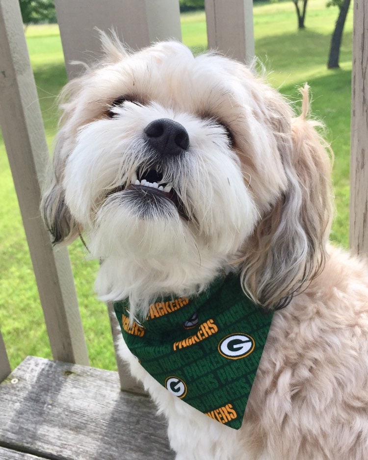 Packer dog cheap bandana