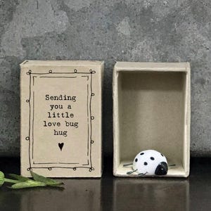 Op de afbeelding: Een klein, wit en zwart lieveheersbeestje figuurtje in een luciferdoos-achtige geschenkdoos. De doos heeft een boodschap die luidt "Sending you a little love bug hug".