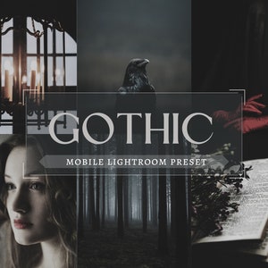 Gothic Lightroom Preset, Skin Mobile Lightroom Preset, Instagram Blogger Filter, Horror, Dark Moody, Dark Academia Aesthetic, kraken presets