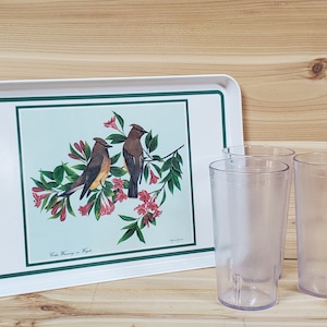 Vintage BIRDS Serving Tray Rectangular Melamine Cedar Waxwing on Weigela by Richard G. Lowe White w/Green Borders, Birds on Blossom Branches