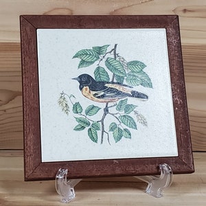May include: A framed ceramic tile with a colorful illustration of a bird perched on a branch with green leaves. The tile has a speckled background and is framed in a dark brown wood frame.