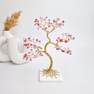 Cadeau 18e verjaardag voor vrouw, roze kattenoogboom, gezellig interieur