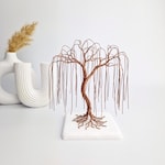 Willow Decor