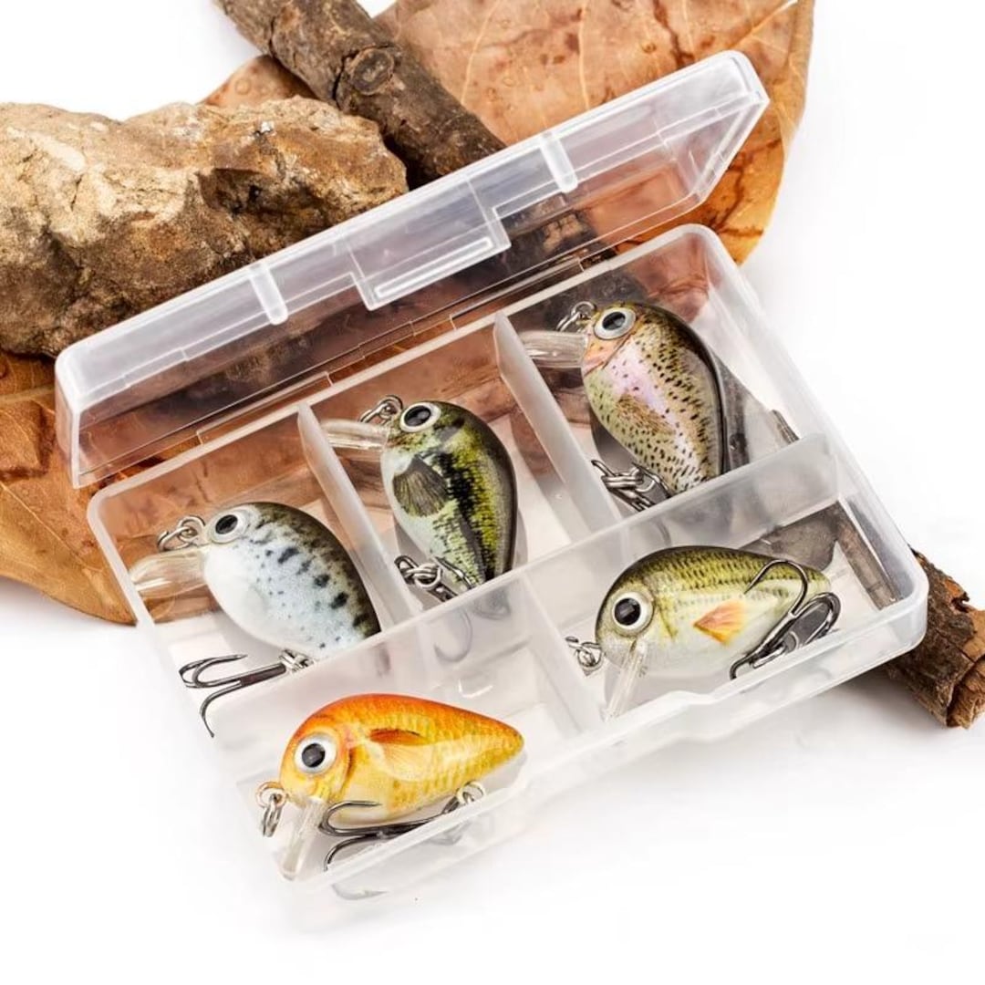 Mini Lures Mini Fishing Lures Set With Tackle Box 5PCS Crankbait Swimbait - Etsy