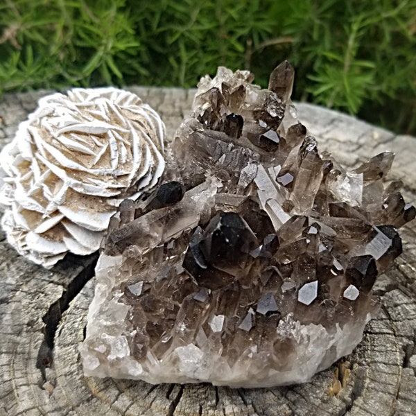 Smokey Quartz Cluster Paired with large Desert Rose (Gypsum)