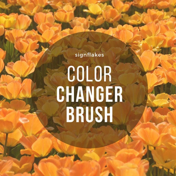 Color Changer Brush for Fansigns or Calligraphies