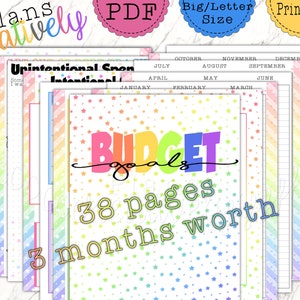 Master Bunter Budgetplaner - Vorgefertigtes Budgetplaner-Einlagen-Set in mehreren Größen - Einfach heruntergeladen, gedruckt und für Ihren Planer hinzugefügt.