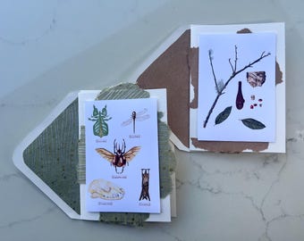 Kabinett der Kuriosität Natur Blanko Grußkarte