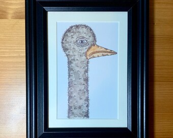 Framed Ostrich Watercolor Print