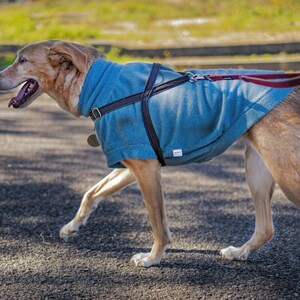 TEAL fleece dog vest soft polar dog sweatshirt sleeveless jumper hundepullover custom in size XS to 4XL image 2