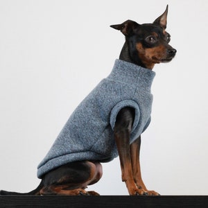 Pull chien top