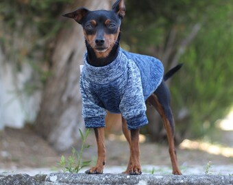 DOUBLE MERLOVE: merle light and dark blue combo dog sweatshirt jumper, raglan soft polar, small puppy clothes, fashion wear, pet clothing