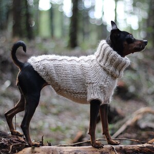 ARCTIC Thick Alpaca Wool Dog and Cat Sweater Turtleneck Braid