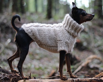 ARKTIS: dicker Alpaka Pullover für Hunde und Katzen, Rollkragen Zopfmuster, hundekleidung, chien chandail, warmer Winterpullover