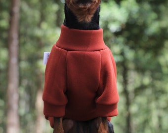 TERRACOTTA: retro rust dog jumper, raglan soft polar sweatshirt, small puppy clothes, dog fashion wear, pet clothing, shirt, sweater, top