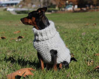 HIEMS: dog and cat chunky sweater, handknitted jumper, soft thick wool, fashion wear pet clothes, winter clothing, made to measure