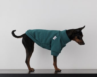 TEAL polar sweatshirt dog jumper, raglan soft cotton polyester, small puppy clothes, dog fashion wear, sweater, top