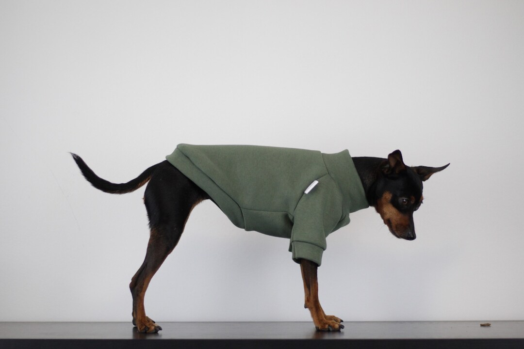 OLIVE Green Dog Jumper Raglan Soft Polar Sweatshirt Hundepullover