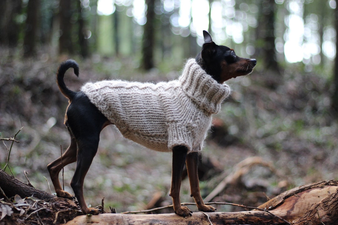 ARCTIC Thick Alpaca Wool Dog and Cat Sweater, Turtleneck Braid Sueter