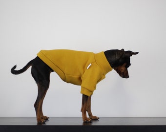 Pull pour chien MOUTARDE | polaire doux raglan | Pullover 100 | polaire pour chien | sudadera pour perro | vêtements pour petits et grands chiens