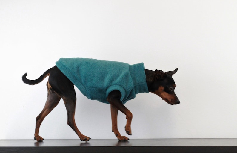 TEAL fleece dog vest soft polar dog sweatshirt sleeveless jumper hundepullover custom in size XS to 4XL image 1