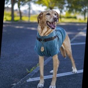 TEAL fleece dog vest soft polar dog sweatshirt sleeveless jumper hundepullover custom in size XS to 4XL image 4