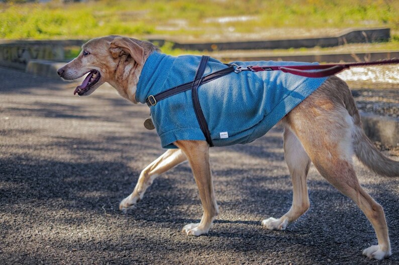 TEAL fleece dog vest soft polar dog sweatshirt sleeveless jumper hundepullover custom in size XS to 4XL image 2