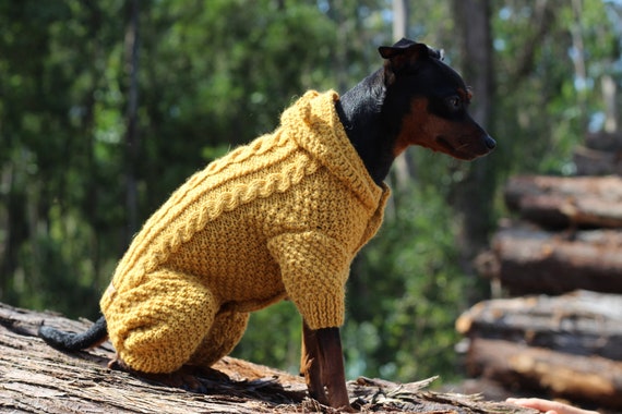 TEDDY: Dog Onesie With Hoodie and 