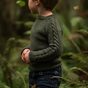 Knitting Pattern for children, cable sleeve raglan sweater, Vine Pullover