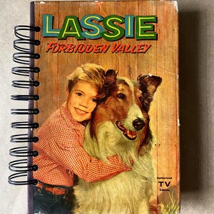 LASSIE JUNK JOURNAL Diario Diario basura Cuadernos de dibujo Cuadernos Arte Libros infantiles Escritura