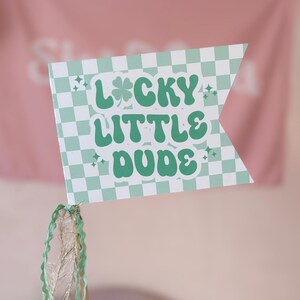 May include: A green and white chequered flag with the text "Lucky Little Dude" in green with a shamrock. The flag is attached to a wooden stick with a green and gold ribbon.
