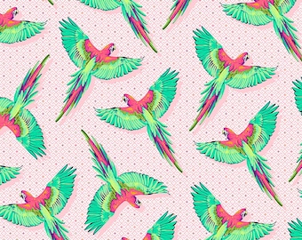 Soñador - Guacamayo Ya Luego - Tela de Fruta del Dragón