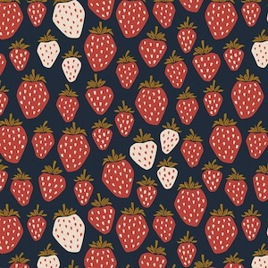Under the Apple Tree - Queen of Berries Starry Night CANVAS