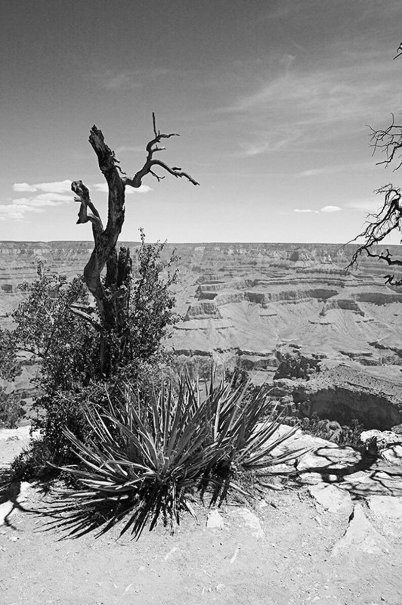 Grand Canyon View Print Travel Photography Travel Photo Etsy