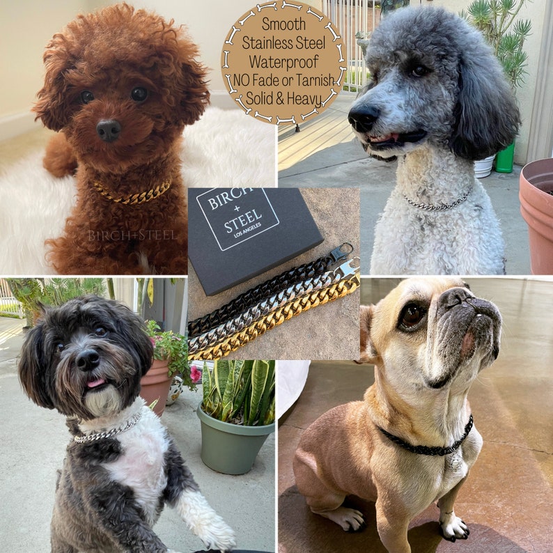 Dog Chain Necklace 12mm Stainless Steel Cuban Link for Dogs Etsy