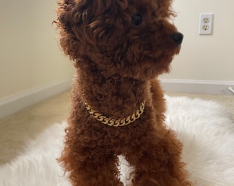Dog's Stainless Steel Cuban Link Necklace: 10mm Curb Chain Collar for Pets