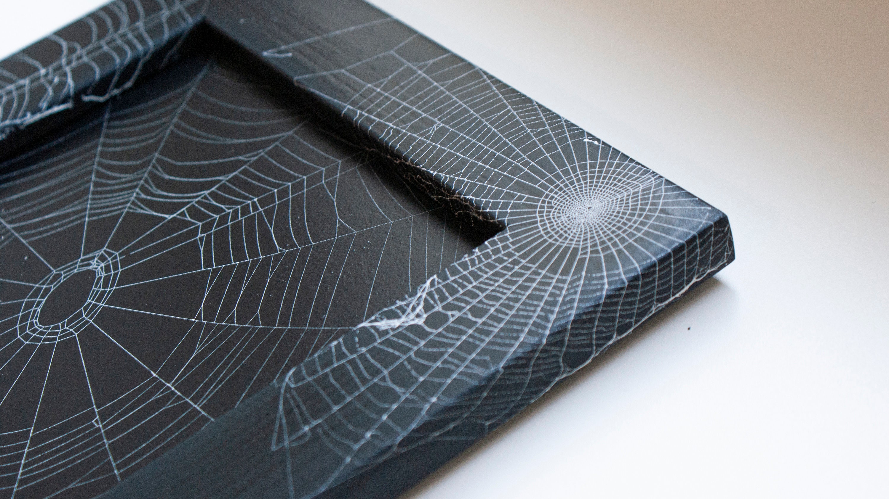 Real Spider  Preserved Spider  Spider  Arachnid Etsy